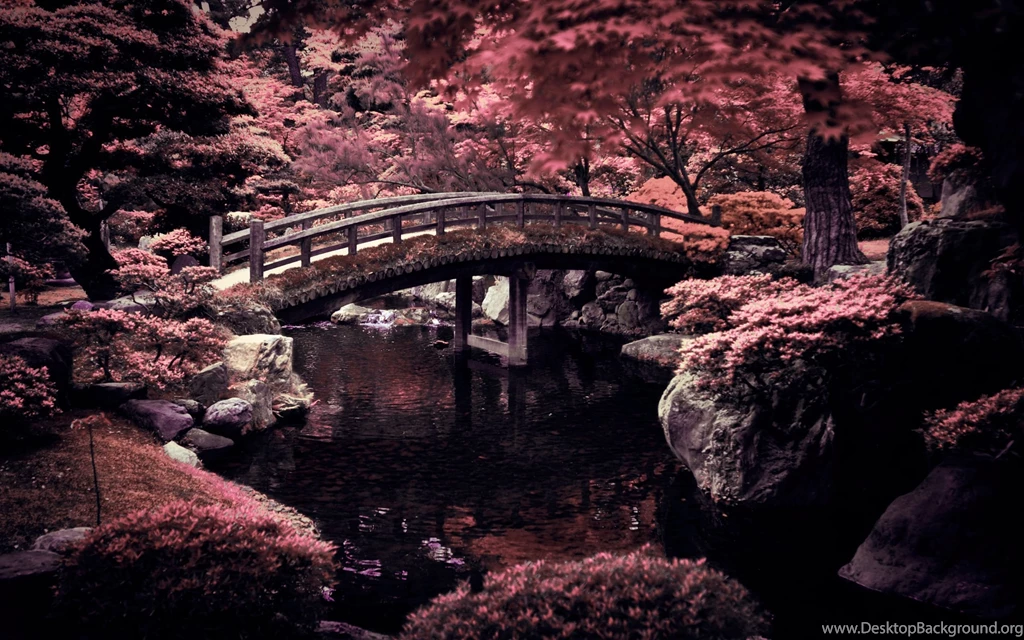 Keyword: Japan Wonderful HD Wallpapers WallpaperLayer.com