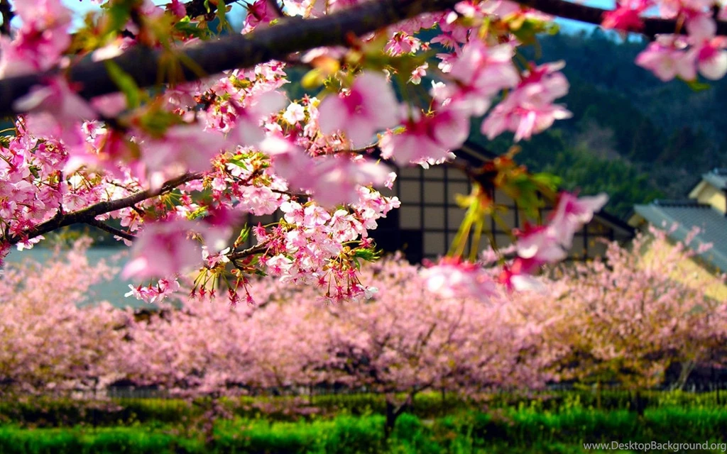 1080p HD Japan Wallpapers For Free Download: The Historical And ...