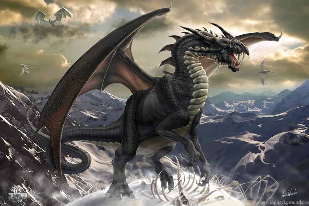 Black Dragon Wallpaper.