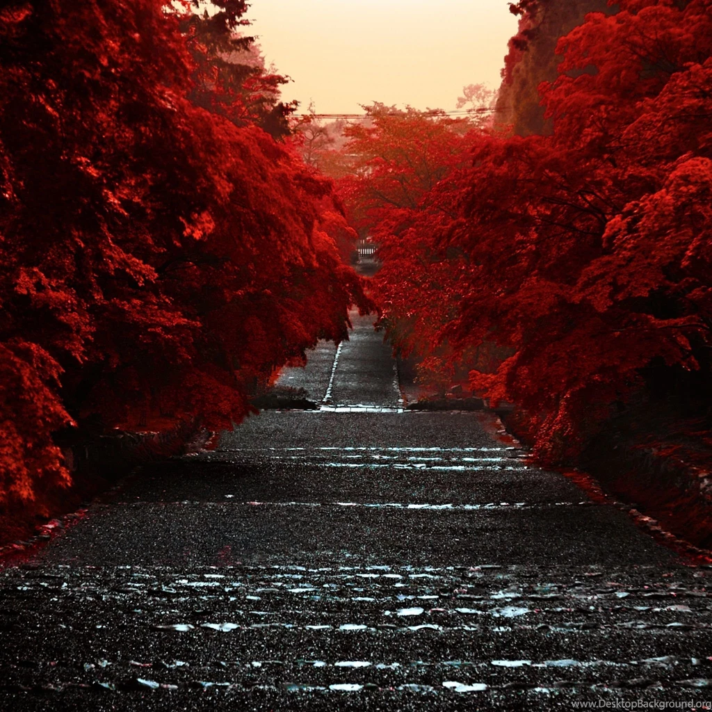 Japan Honshu Island iPad Air Wallpapers Download