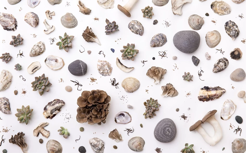 Design*Sponge Desktop Wallpapers