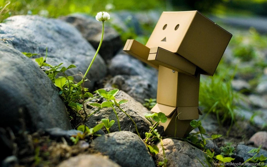 Danbo Wallpapers