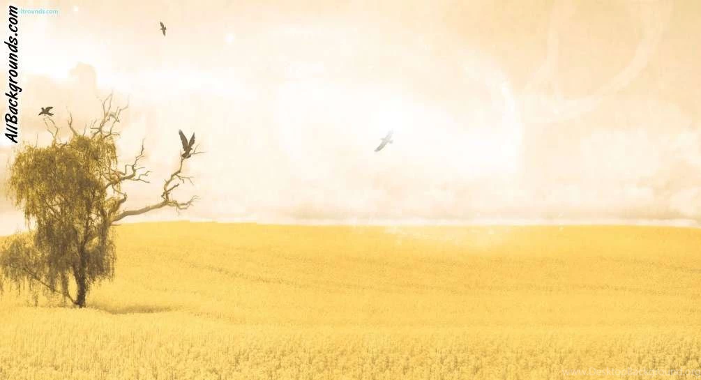 Calm Backgrounds Twitter & Myspace Backgrounds
