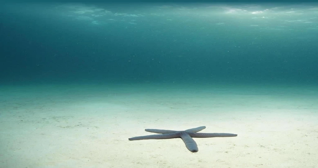 Multi Monitor Wallpapers 29005 HD Wallpapers