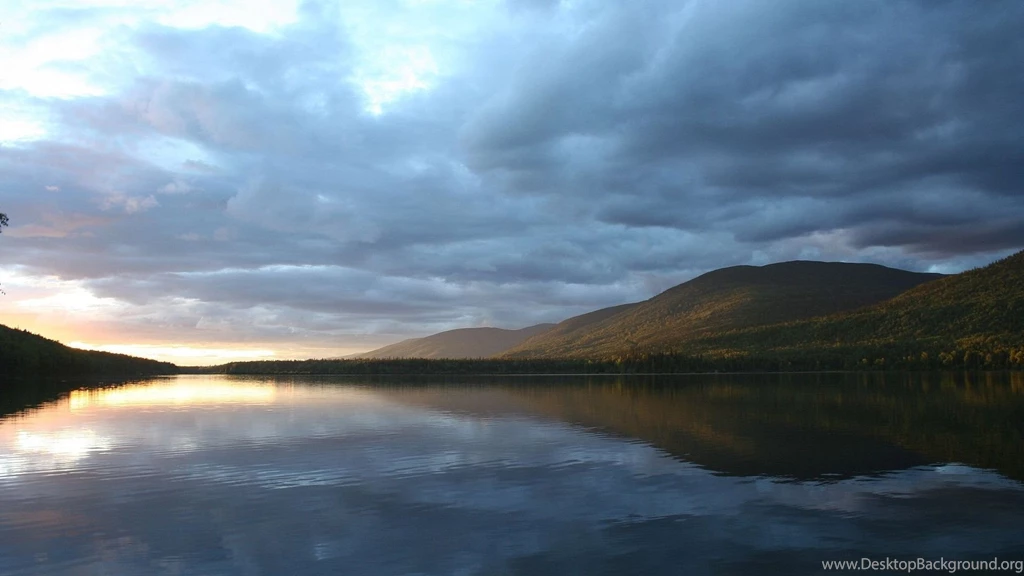 Download 1920x1080 HD Wallpapers Lake Calm Overcast Forest ...