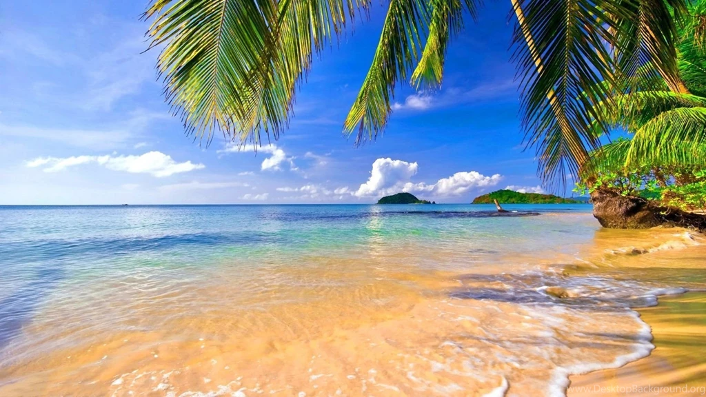 1600x900 Beach Tropical Hd Wallpapers