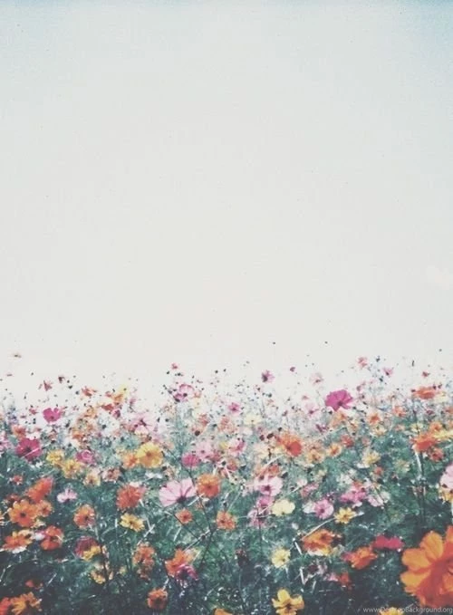 Top Hipster Floral Background Images For Pinterest
