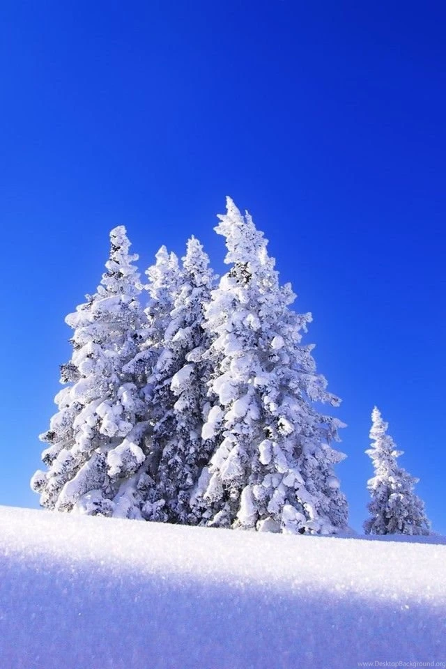 Winter Wallpaper for iPhone 4 04