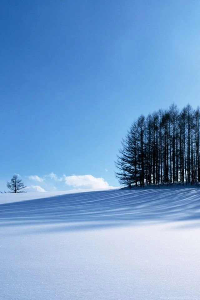 640x960 Winter Iphone 4 Wallpapers