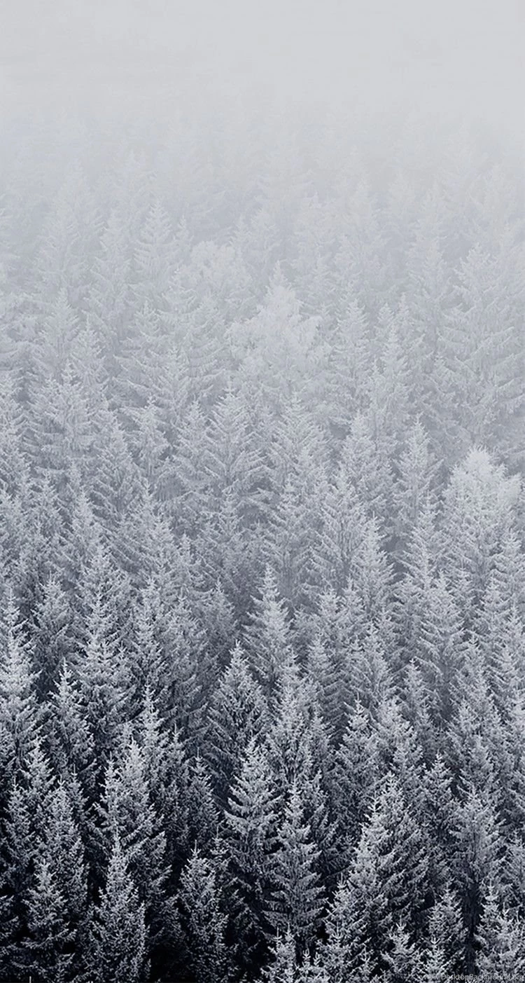 iPhone 6s Winter Wallpapers HD • IPhones Wallpapers
