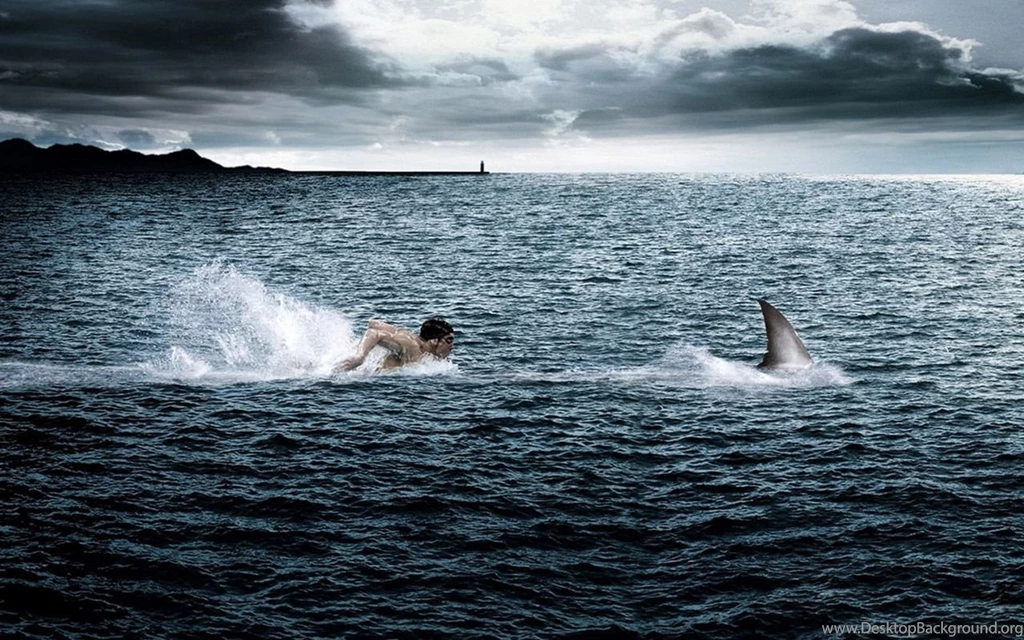 Swimming HD Wallpapers