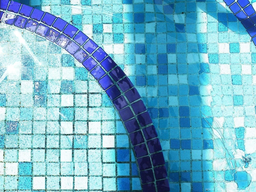 Swimming Swimming Wallpapers (3411509) Fanpop