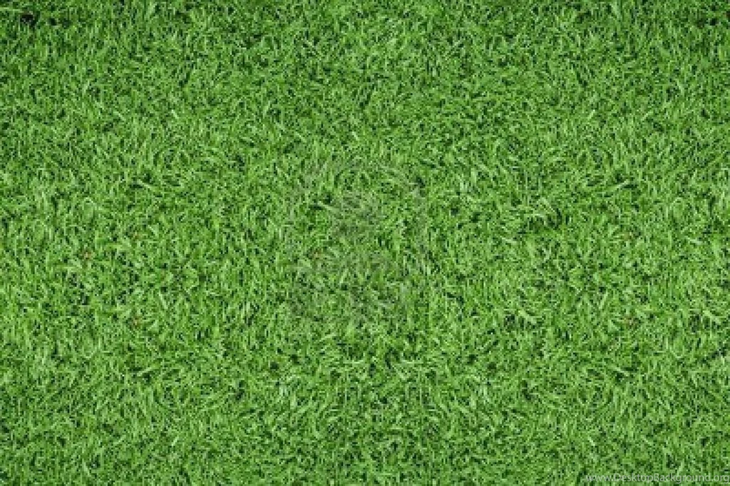 Football Field Wallpapers
