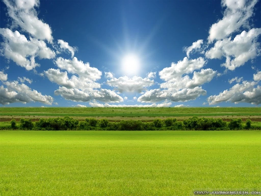 Spring Field Wallpapers Crazy Frankenstein