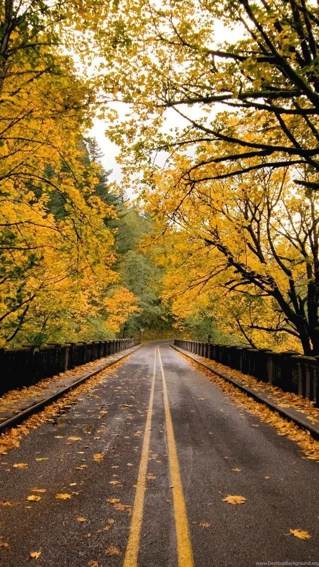 Top Autumn Iphone Wallpaper Images For Pinterest