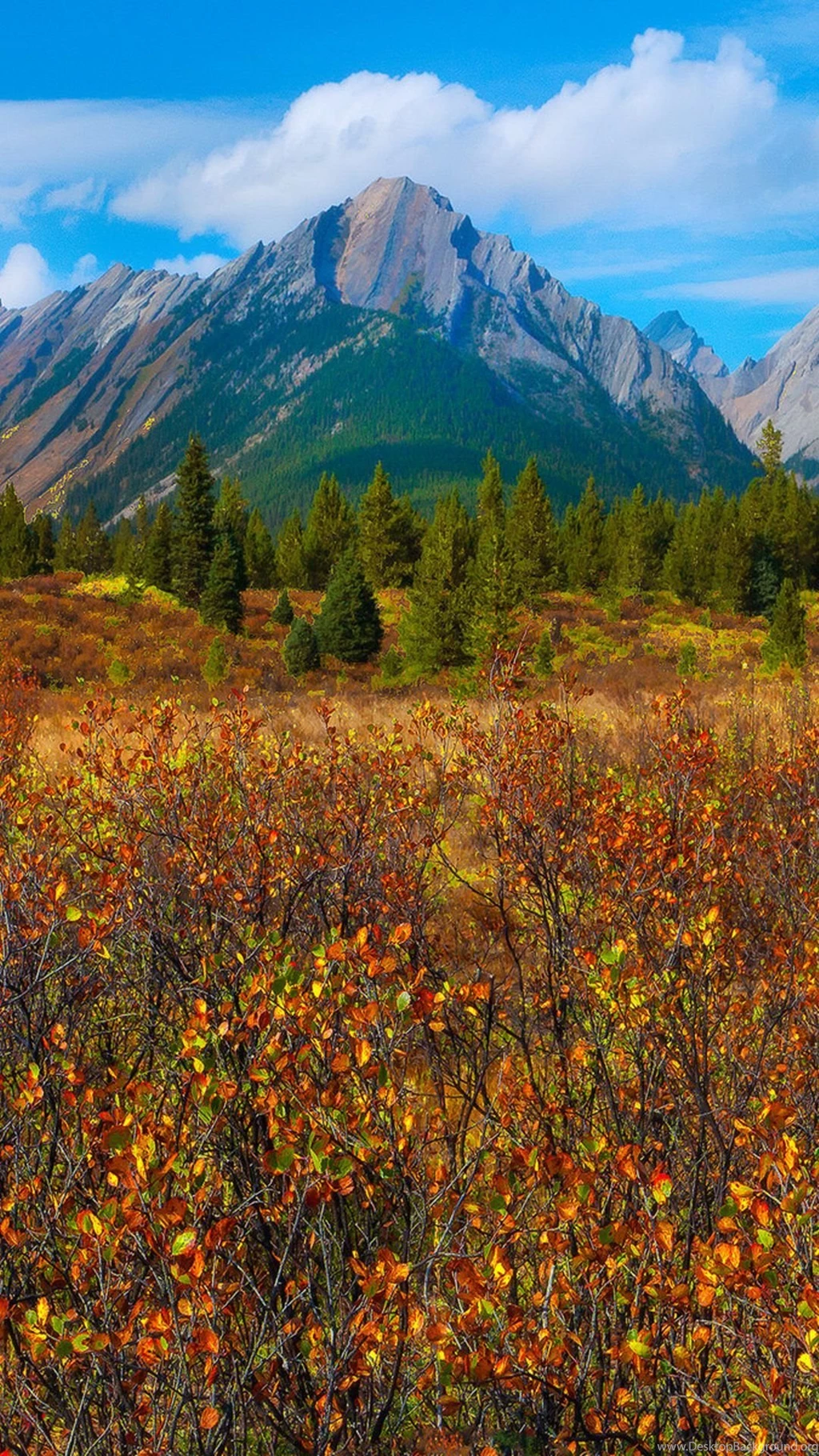 Wallpapers Weekends: Fall Has Fell   Autumn Wallpapers For The ...