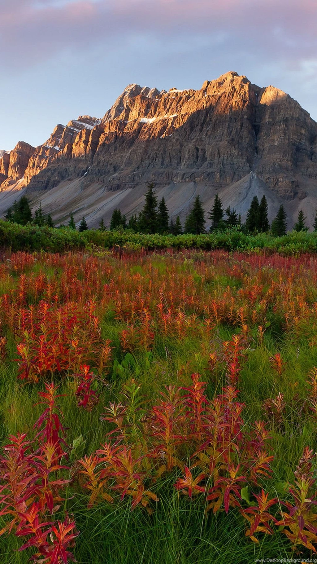 Wallpapers Weekends: Fall Has Fell Autumn Wallpapers For The ...