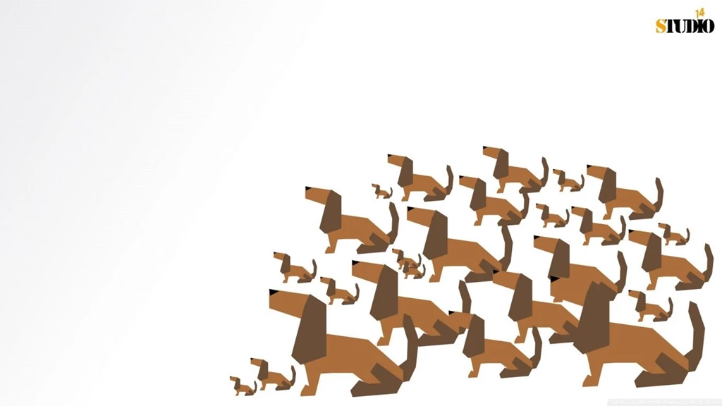Dachshund HD Desktop Wallpapers : High Definition : Mobile