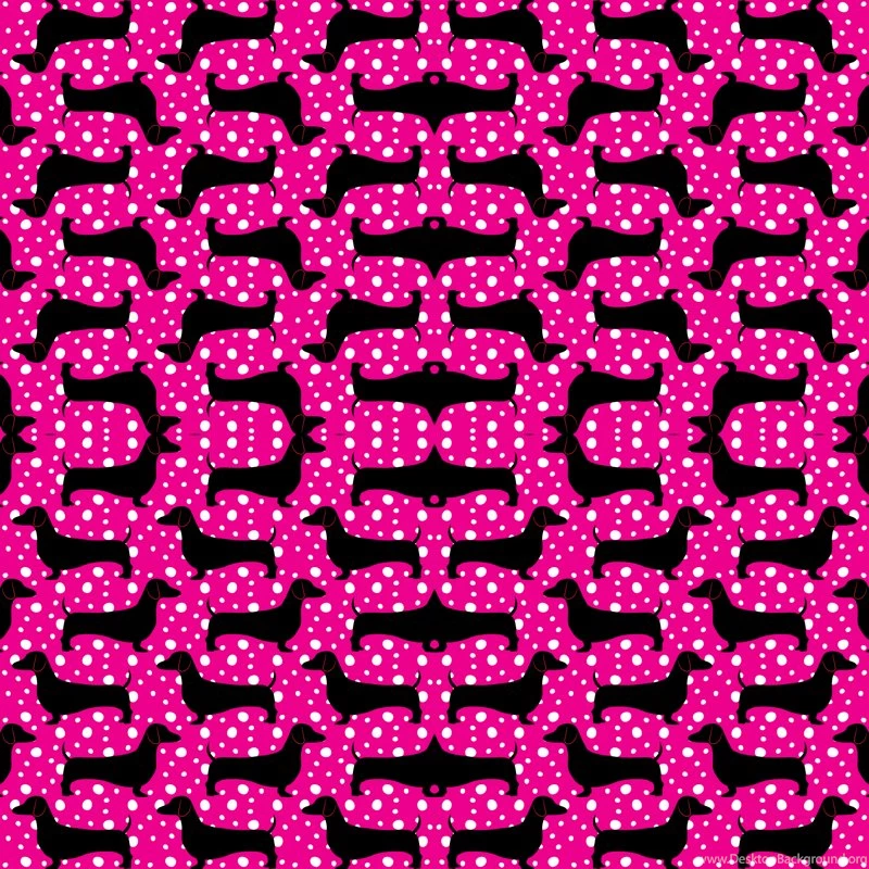 Black Dachshund Fabric, Wallpapers & Gift Wrap Spoonflower