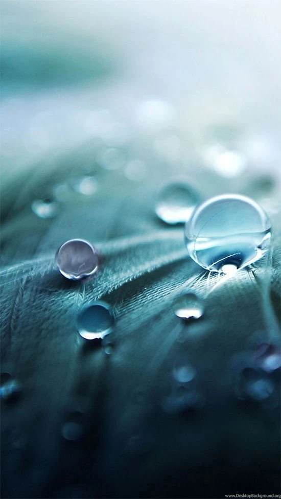 Collection Of 50+ Irresistible HD Wallpapers For Your iPhone 5All ...