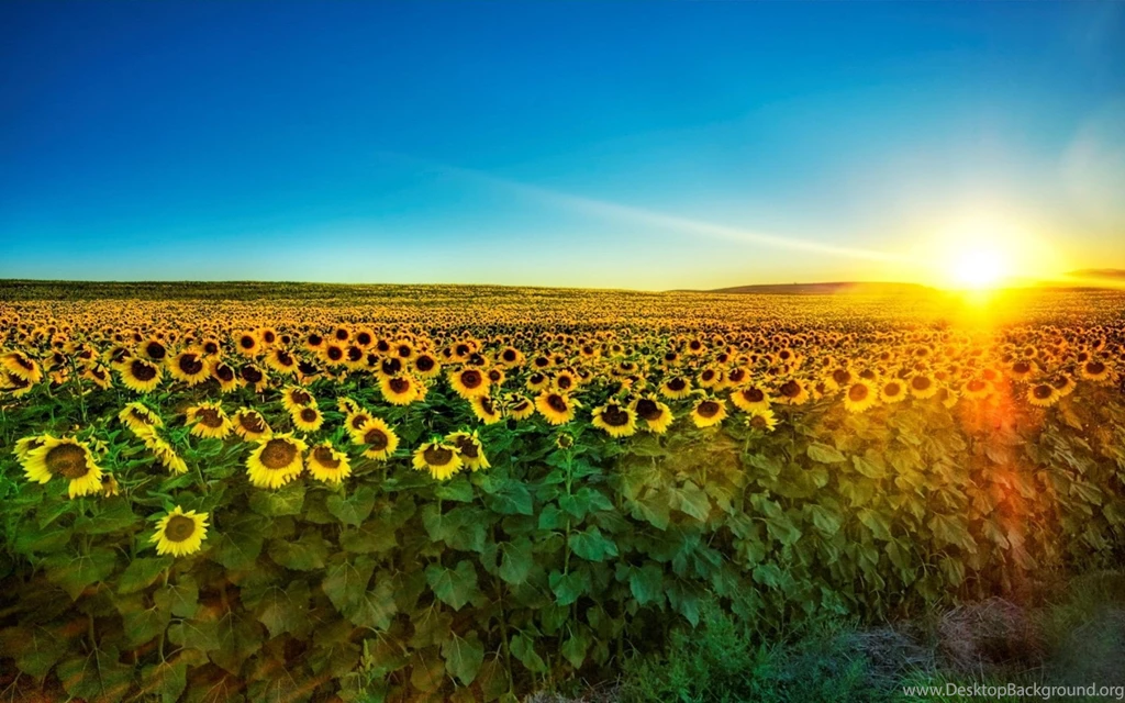 Free Desktop Wallpapers 3.jpg