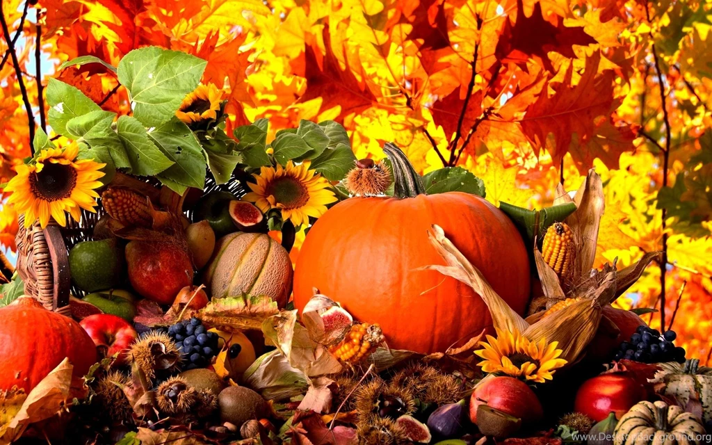 Autumn Harvest Wallpapers Widescreen   Wallpaper.