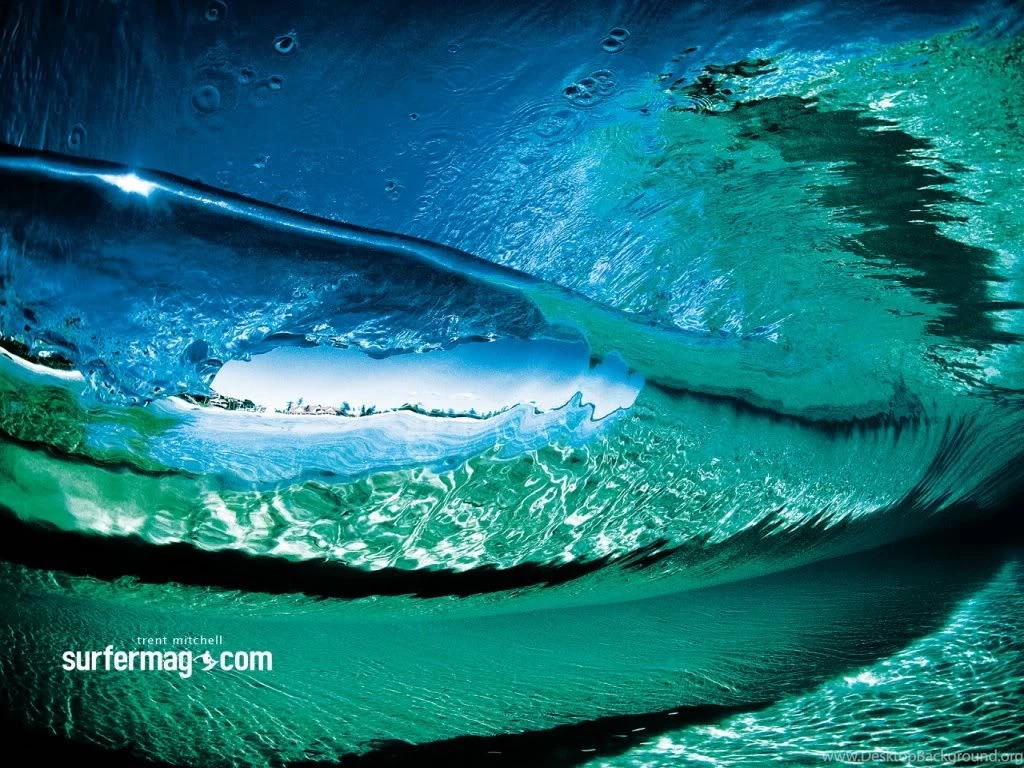 Surf Boards Graphics And Comments