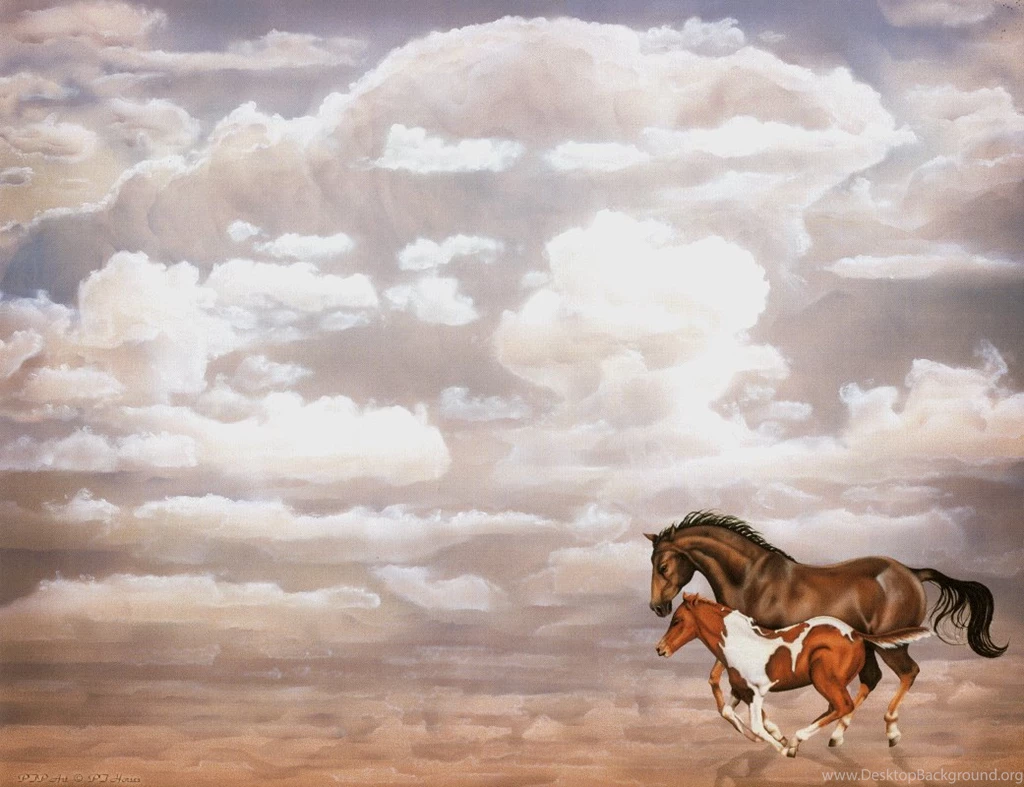 Horses.gif Horse Ranch Bonaire