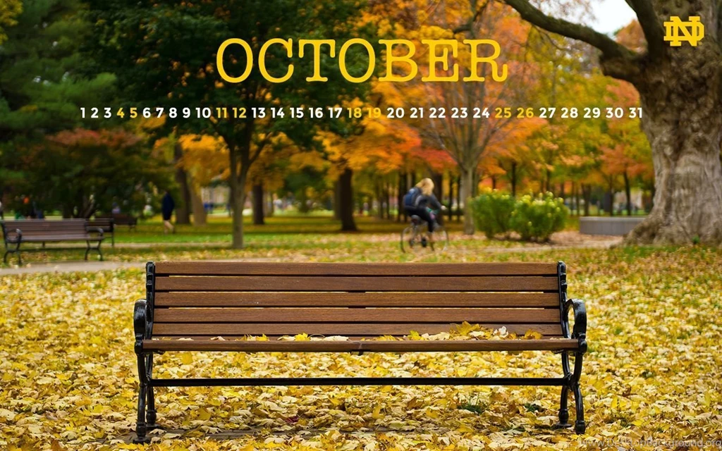 MyNotreDame   Notre Dame Wallpapers