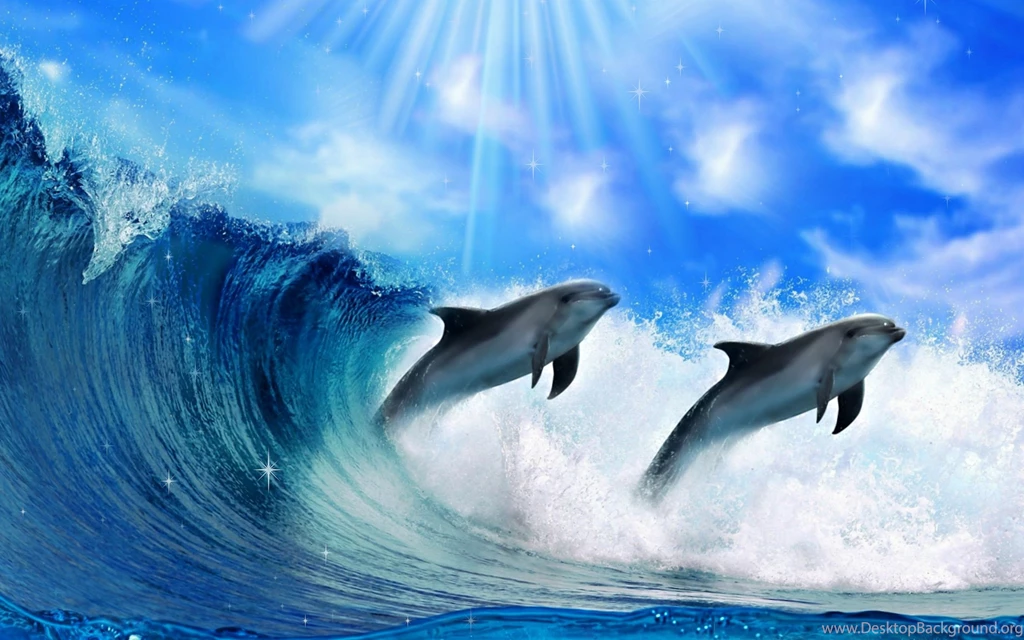 Dolphins in the surf wide wallpaper hd.jpg