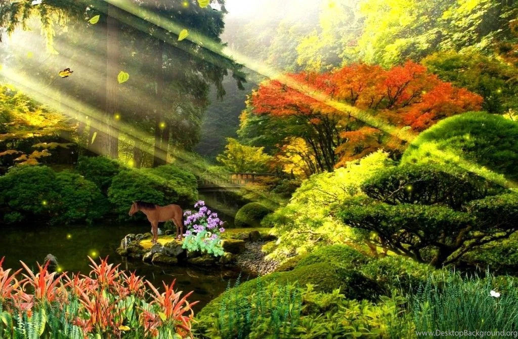Free Animated Horse In The Park Wallpapers For PC Photos Of Free ...