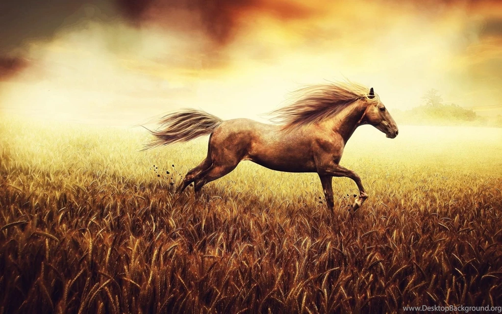 Running Horse HD Wallpapers