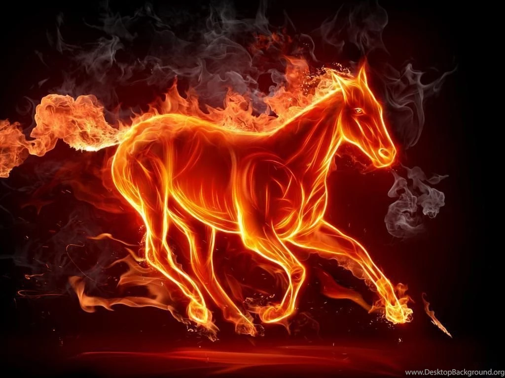 Horse Wallpapers 4958 Backgrounds Hd   Turimpic.com