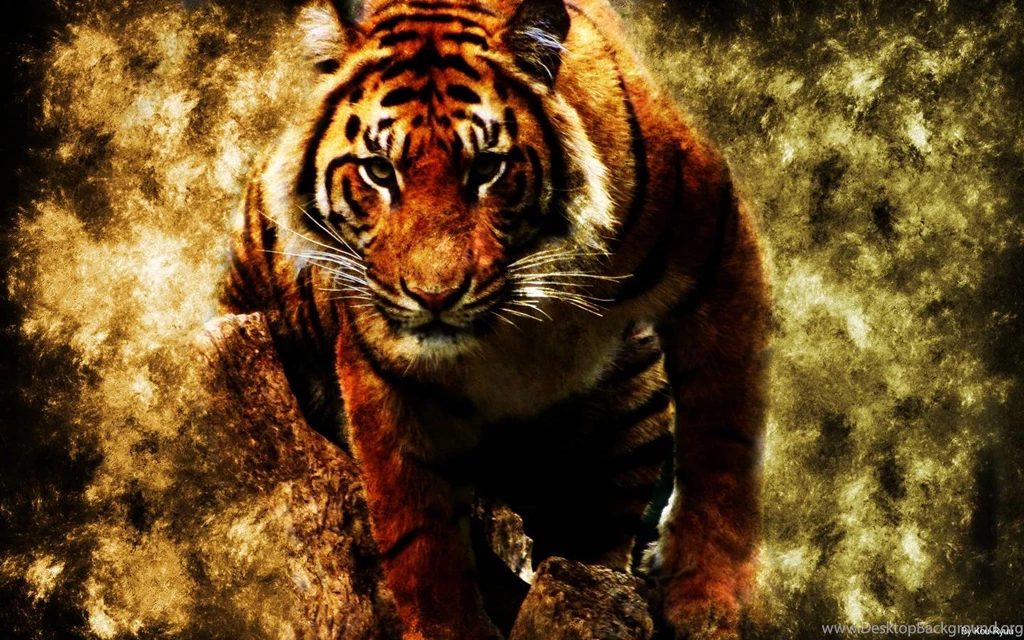 Tiger Wallpapers