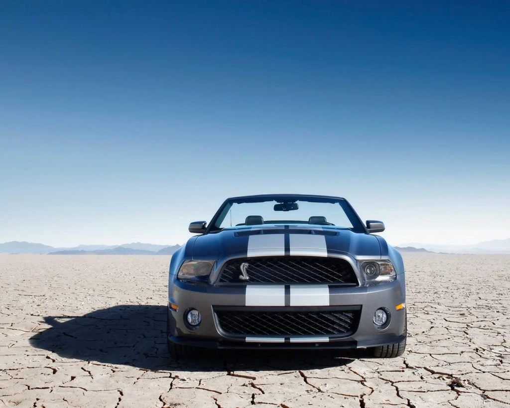 1280x1024 Ford Shelby GT500 Front Desktop PC And Mac Wallpapers