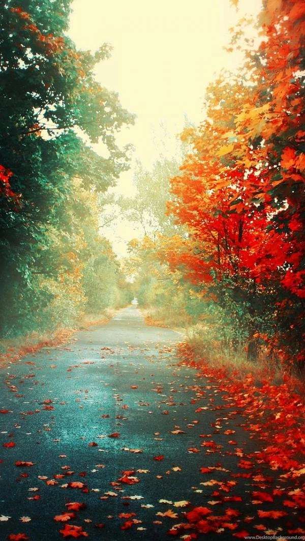 50+ Examples Of iPhone 5 Wallpapers