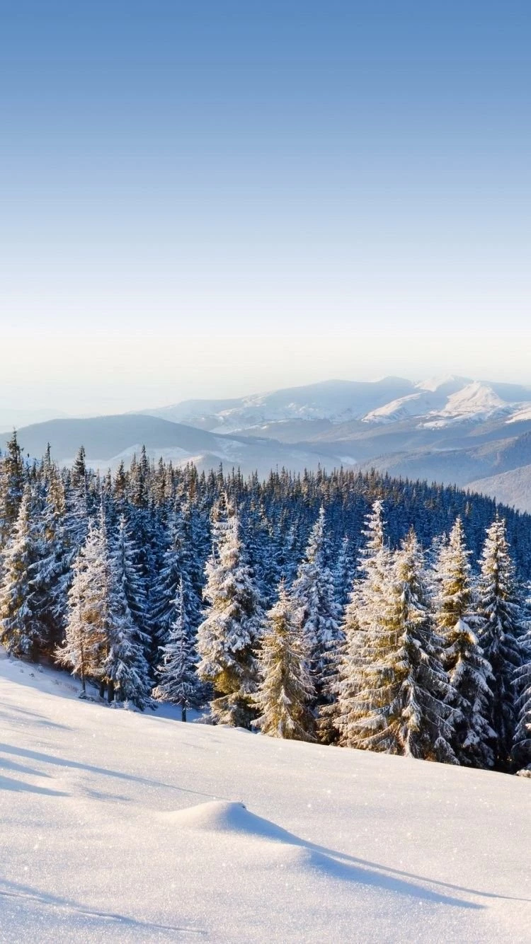 Winter Wallpapers For Iphone 6 HD Wallpaper Backgrounds Of Your ...