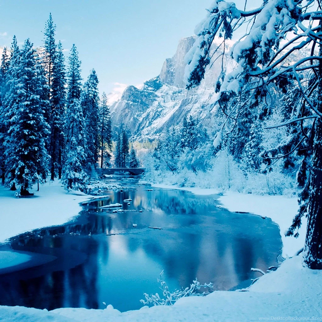 25 Winter iPad Wallpapers
