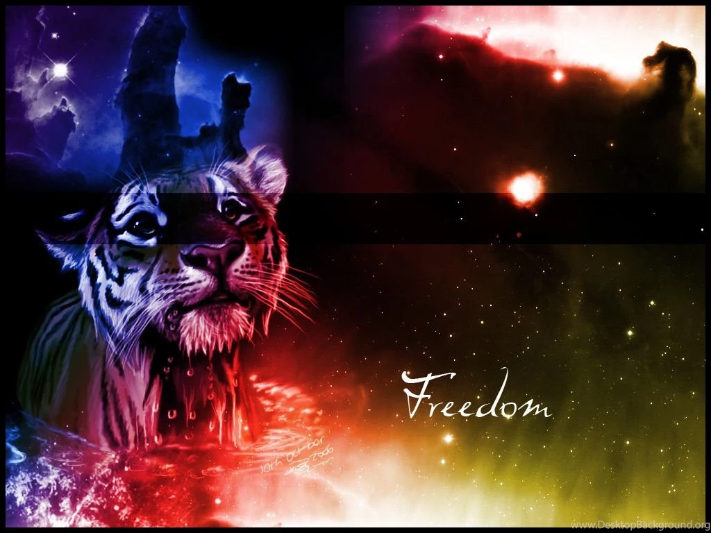 Tiger ♥ ~ Tigers Wallpapers (10309843) Fanpop