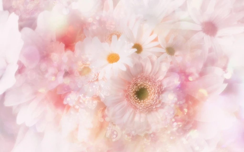 Cute Pink Flowers Wallpapers