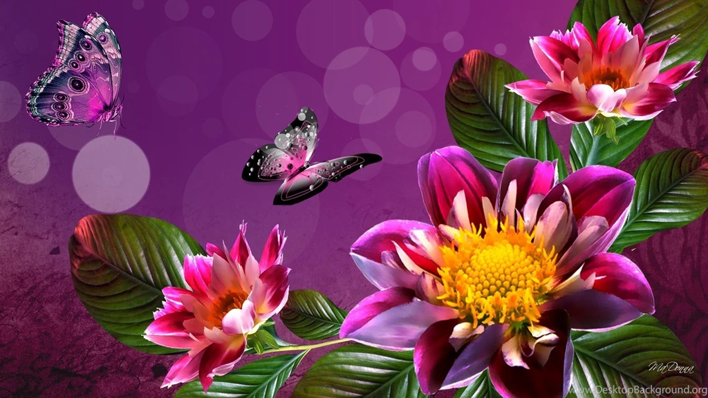 Flower Backgrounds HD Wallpaper 10.jpg