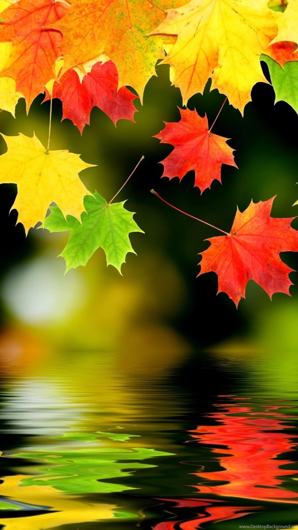 iPhone 6 Earth/Fall Wallpapers ID: 582747