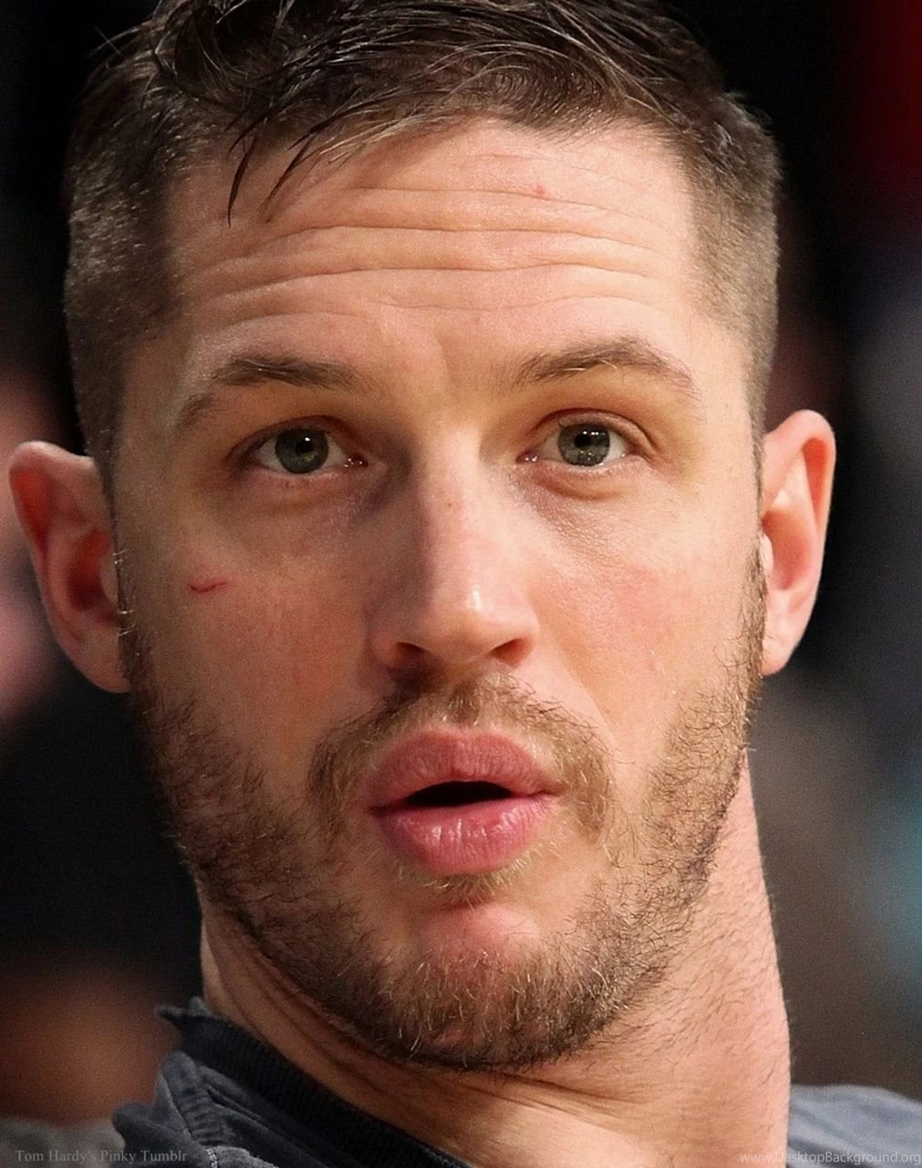 Tom Hardy Wallpapers Tom Hardy Photo (32531056) Fanpop