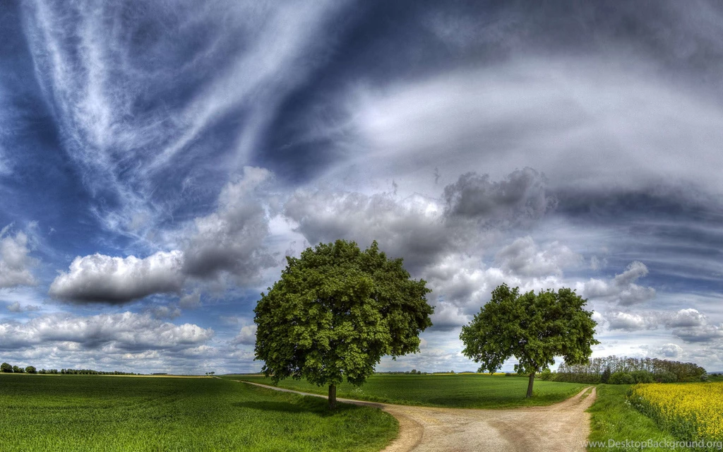 High Quality Desktop Backgrounds Nature With Two Tree Wallpapers