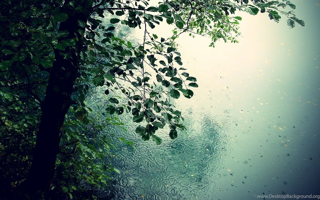 Rain HD Wallpaper, Rain Backrounds, New Wallpapers