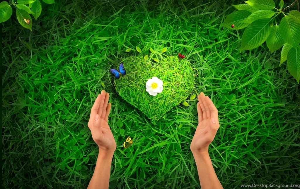 Simple World Wallpaper: Wallpapers Hd Widescreen High Quality ...