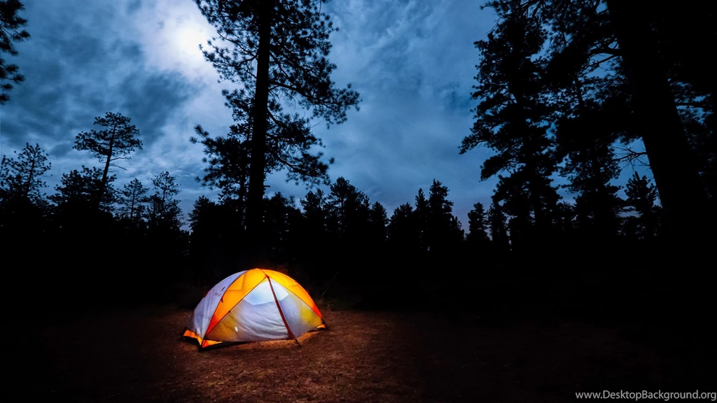 Camping In The Woods Uhd Wallpapers Ultra High Definition ...