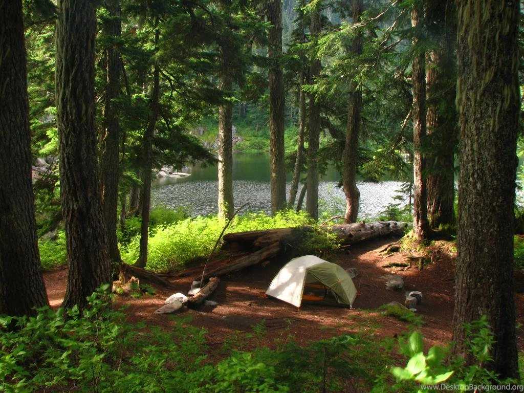 Types Of Camping – Treadin' Trodden Trails