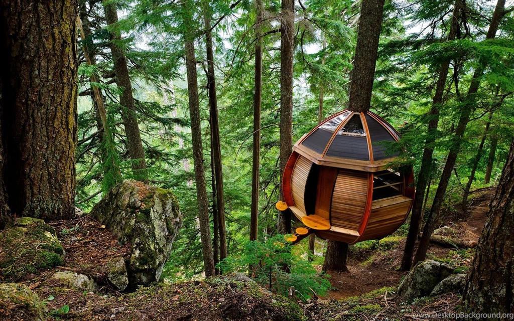 HemLoft Secret Treehouse : Desktop And Mobile Wallpapers : Wallippo