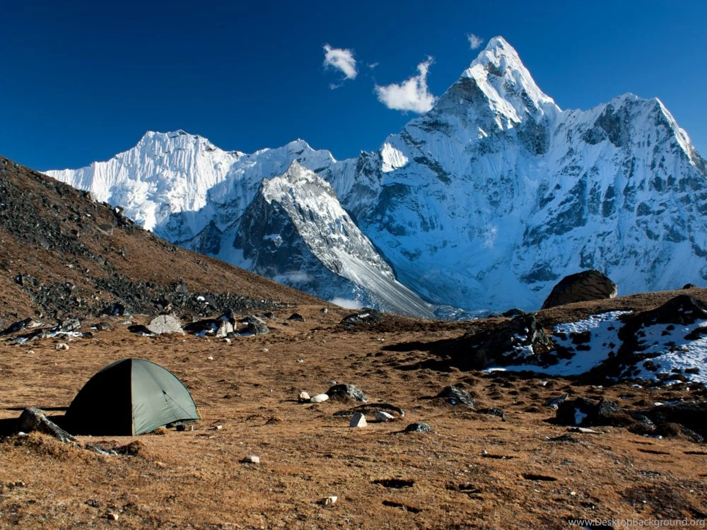 Camping Gear — Strategic Cover